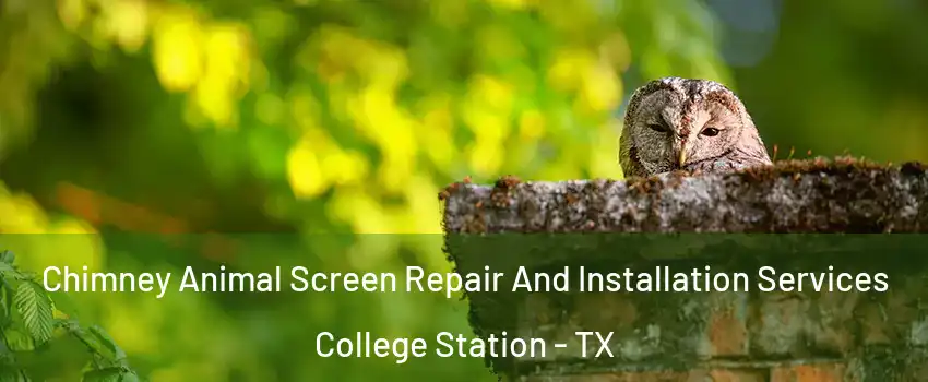  Chimney Animal Screen Repair And Installation Services College Station - TX
