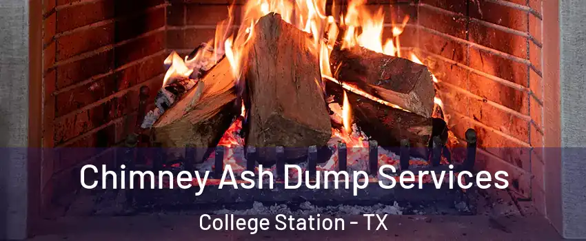  Chimney Ash Dump Services College Station - TX