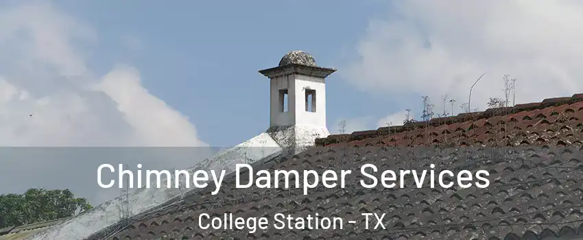  Chimney Damper Services College Station - TX