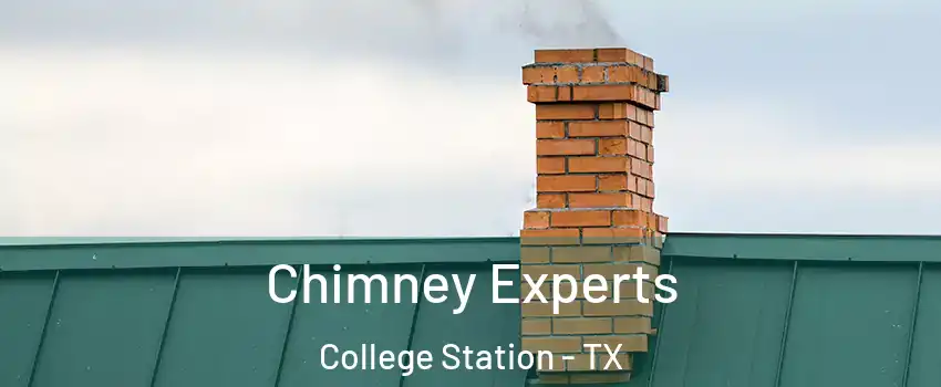 Chimney Experts College Station - TX