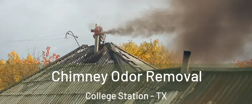  Chimney Odor Removal College Station - TX