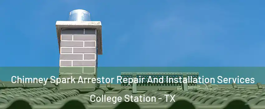  Chimney Spark Arrestor Repair And Installation Services College Station - TX