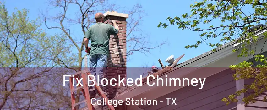  Fix Blocked Chimney College Station - TX