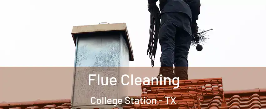  Flue Cleaning College Station - TX