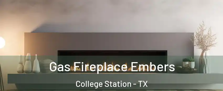  Gas Fireplace Embers College Station - TX