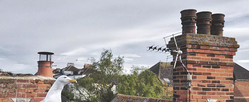 Chimney Cleaning And Restoration in College Station, Texas