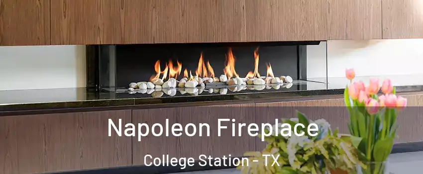  Napoleon Fireplace College Station - TX