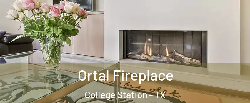Ortal Fireplace College Station - TX
